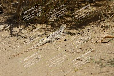 media/May-06-2023-PCA San Diego (Sat) [[abb7014659]]/Around the Pits/